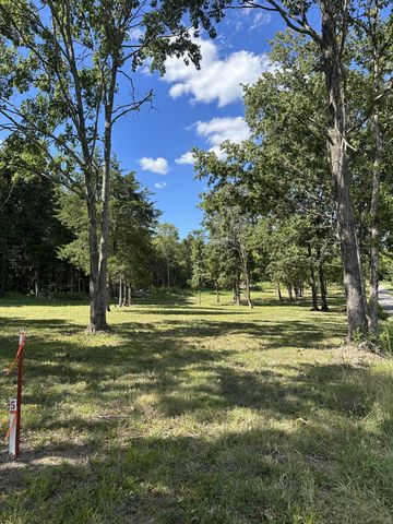 0 Atkinson Road, Lebanon, TN 37090