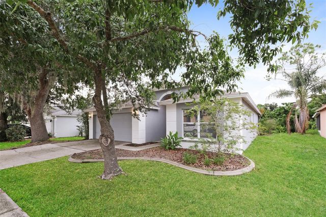 823 ROCKY MOUNTAIN COURT, Valrico, FL 33594