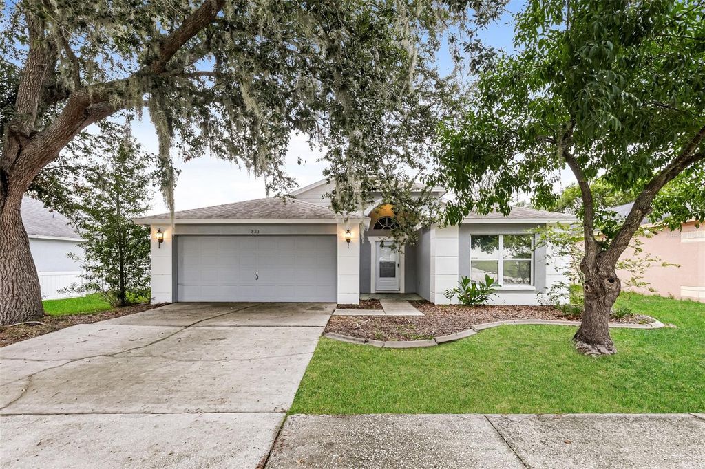 823 ROCKY MOUNTAIN COURT, Valrico, FL 33594