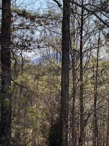 00 Sugar Maple Road, Murphy, NC 28906