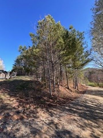00 Sugar Maple Road, Murphy, NC 28906