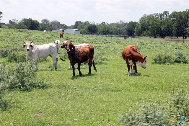 9411 Fm-86, Lockhart, TX 78644