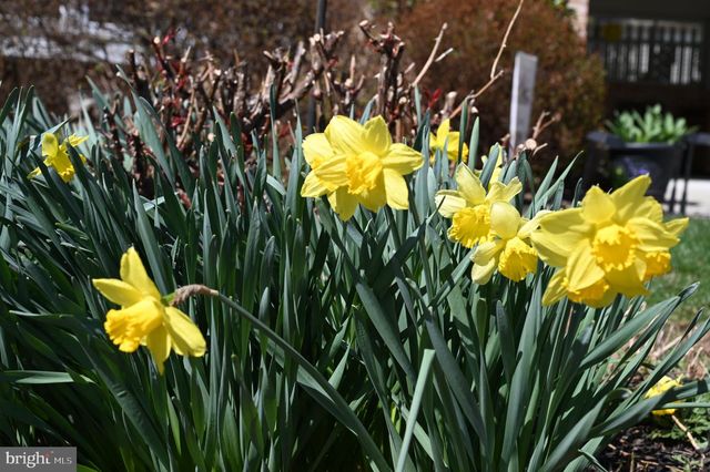 3420 BEAUFORD CIR, Annandale, VA 22003