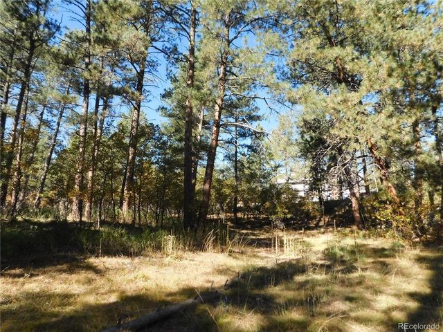 682 Copper Fox Pl, Larkspur, CO 80118