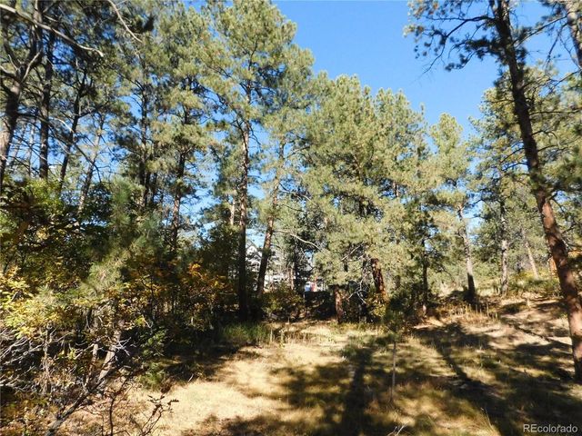 682 Copper Fox Pl, Larkspur, CO 80118