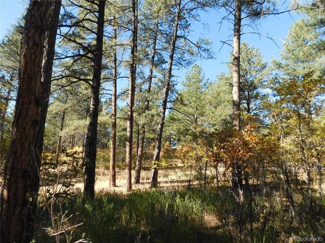 682 Copper Fox Pl, Larkspur, CO 80118