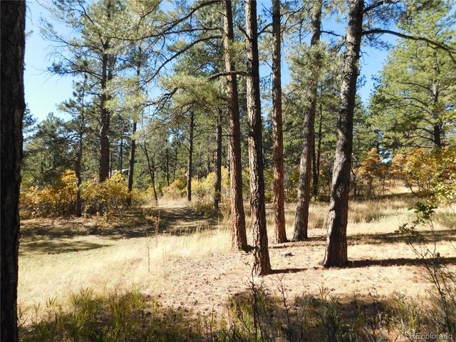 682 Copper Fox Pl, Larkspur, CO 80118