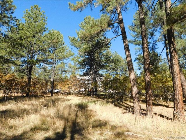 682 Copper Fox Pl, Larkspur, CO 80118