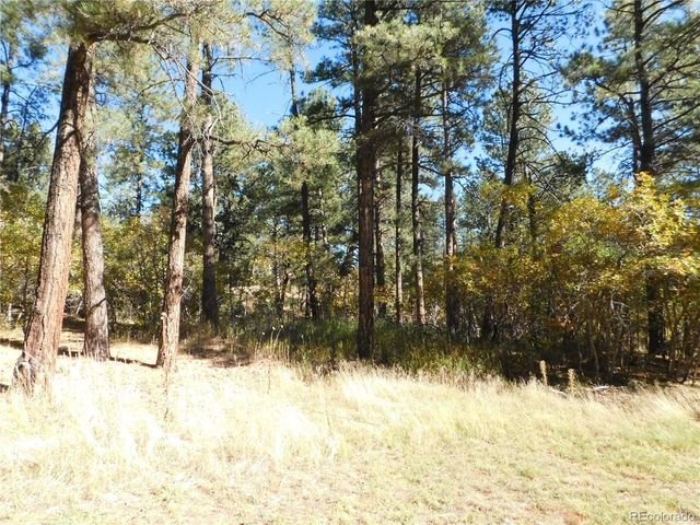 682 Copper Fox Pl, Larkspur, CO 80118