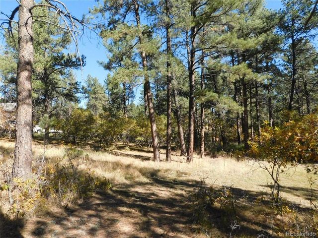 682 Copper Fox Pl, Larkspur, CO 80118