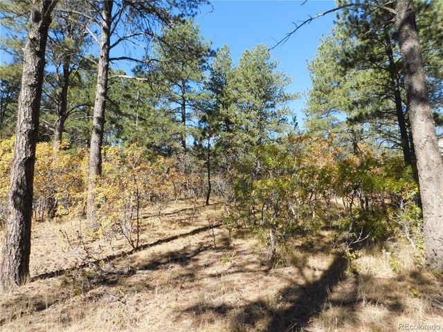 682 Copper Fox Pl, Larkspur, CO 80118