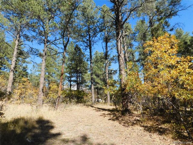 682 Copper Fox Pl, Larkspur, CO 80118