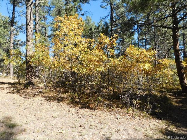 682 Copper Fox Pl, Larkspur, CO 80118