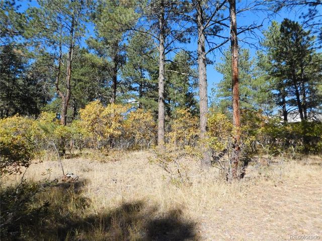 682 Copper Fox Pl, Larkspur, CO 80118