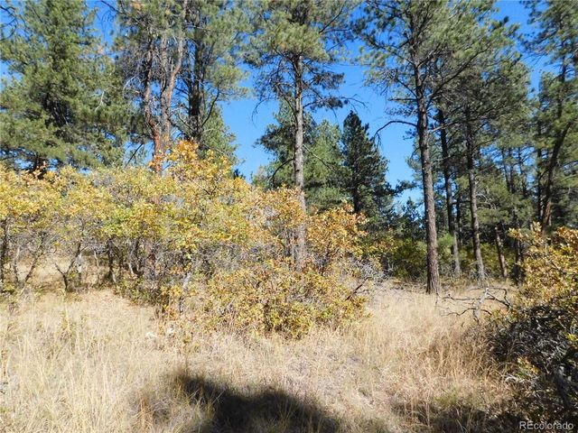 682 Copper Fox Pl, Larkspur, CO 80118