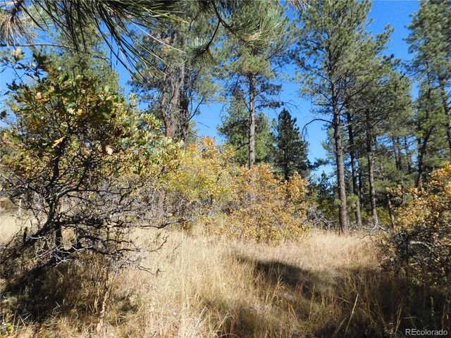 682 Copper Fox Pl, Larkspur, CO 80118