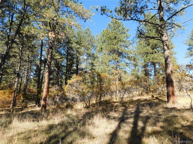 682 Copper Fox Pl, Larkspur, CO 80118