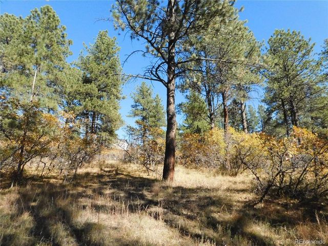 682 Copper Fox Pl, Larkspur, CO 80118