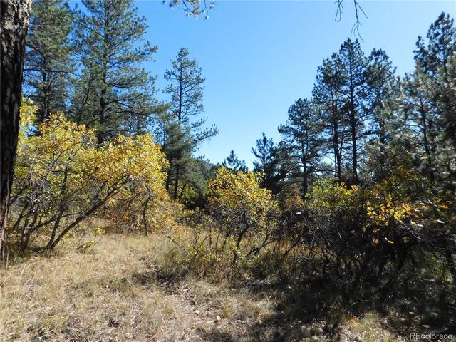 682 Copper Fox Pl, Larkspur, CO 80118