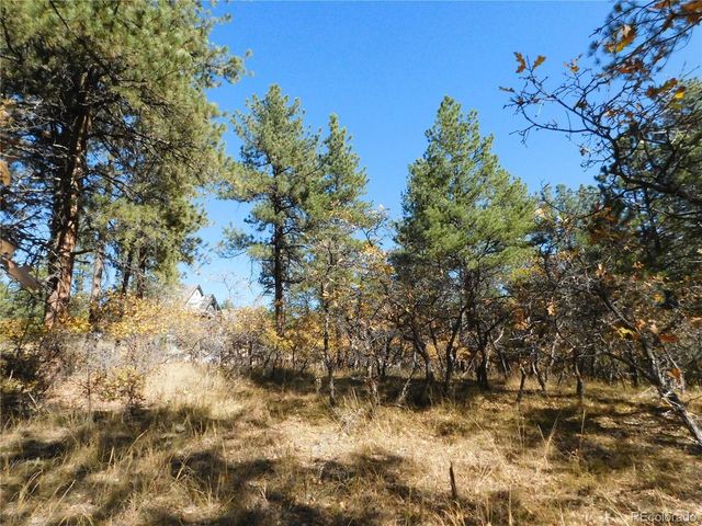 682 Copper Fox Pl, Larkspur, CO 80118
