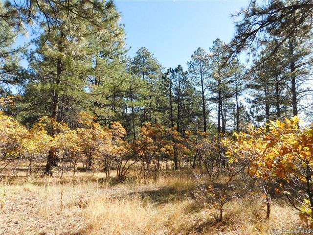 682 Copper Fox Pl, Larkspur, CO 80118