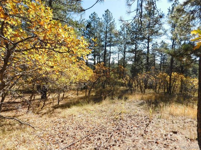 682 Copper Fox Pl, Larkspur, CO 80118