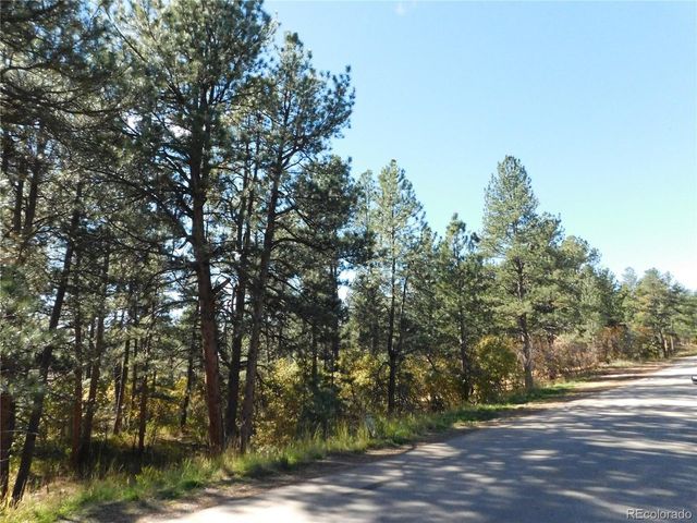 682 Copper Fox Pl, Larkspur, CO 80118