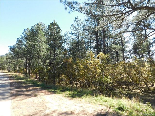 682 Copper Fox Pl, Larkspur, CO 80118