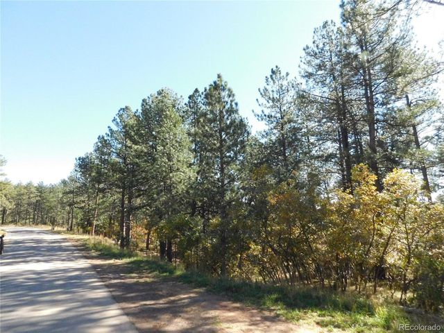 682 Copper Fox Pl, Larkspur, CO 80118
