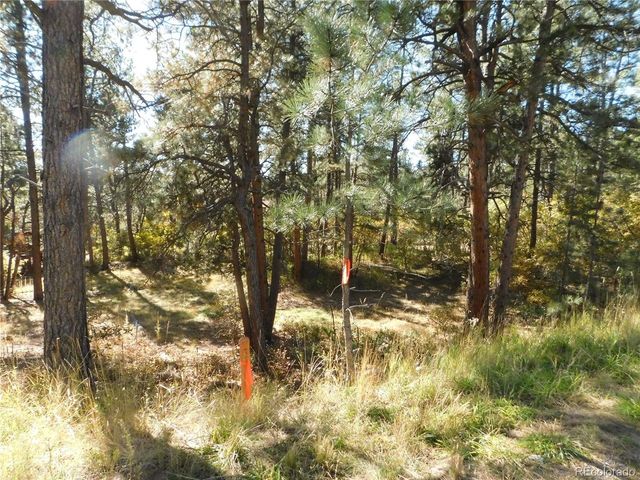 682 Copper Fox Pl, Larkspur, CO 80118