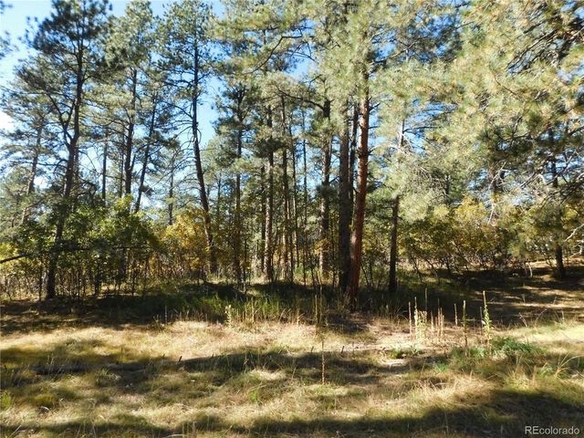 682 Copper Fox Pl, Larkspur, CO 80118