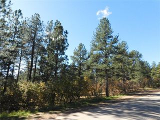 682 Copper Fox Pl, Larkspur, CO 80118
