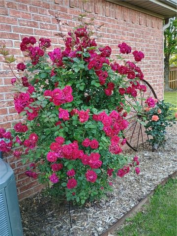 3236 W Westbury Street, Fayetteville, AR 72704