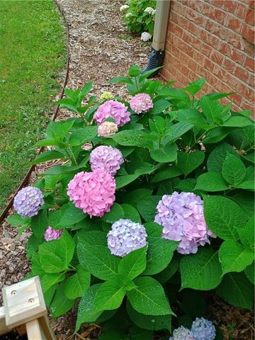 3236 W Westbury Street, Fayetteville, AR 72704