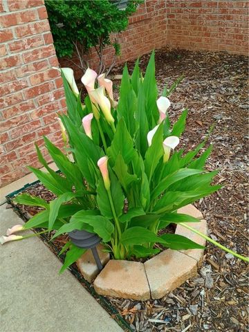 3236 W Westbury Street, Fayetteville, AR 72704