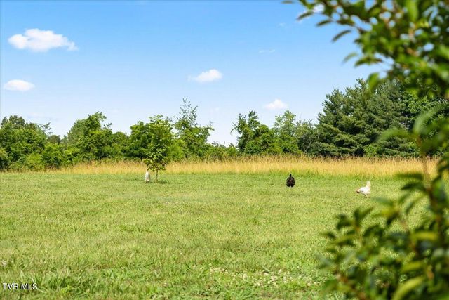 496 Telford New Victory Road, Telford, TN 37690
