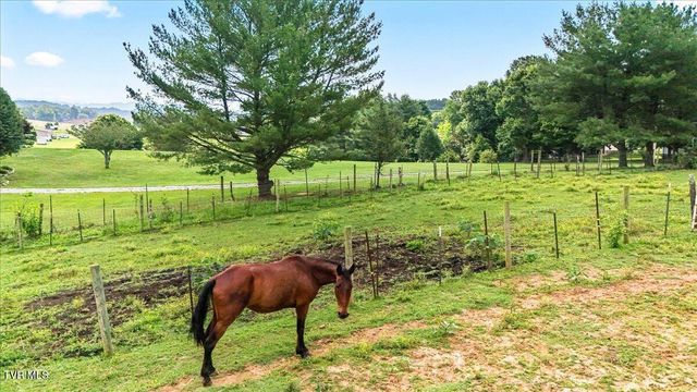 496 Telford New Victory Road, Telford, TN 37690