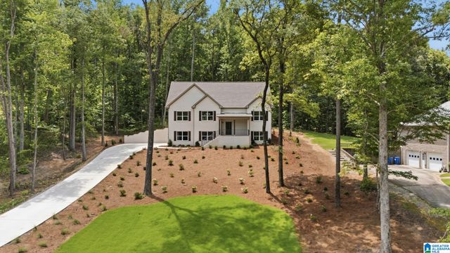 156 BRYNLEIGH DRIVE, Chelsea, AL 35043