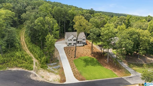 156 BRYNLEIGH DRIVE, Chelsea, AL 35043