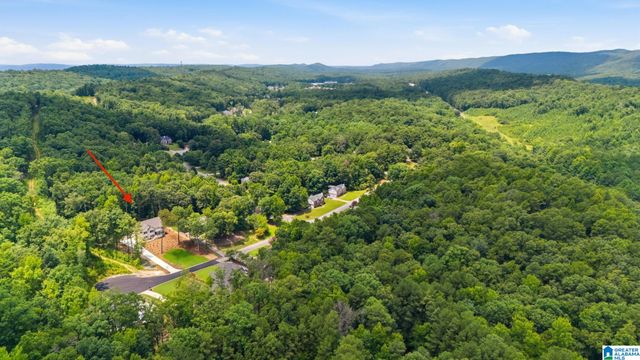 156 BRYNLEIGH DRIVE, Chelsea, AL 35043