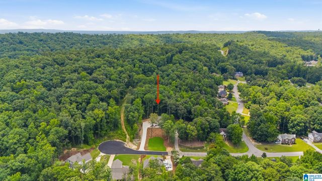 156 BRYNLEIGH DRIVE, Chelsea, AL 35043