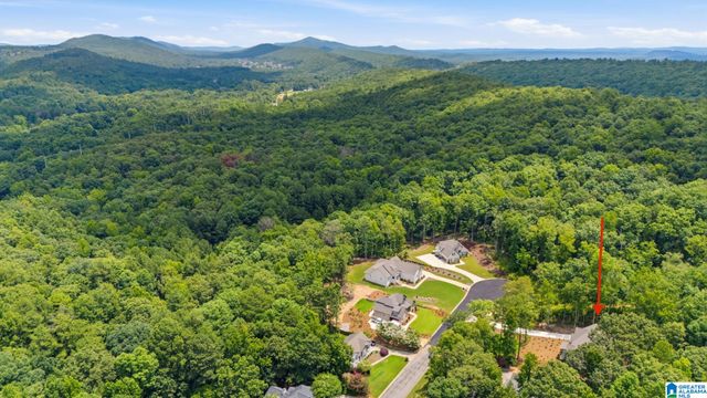 156 BRYNLEIGH DRIVE, Chelsea, AL 35043