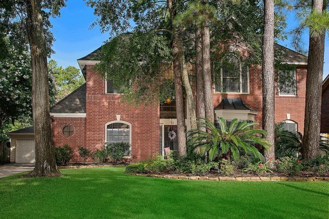 15 Amber Sky Place, The Woodlands, TX 77381