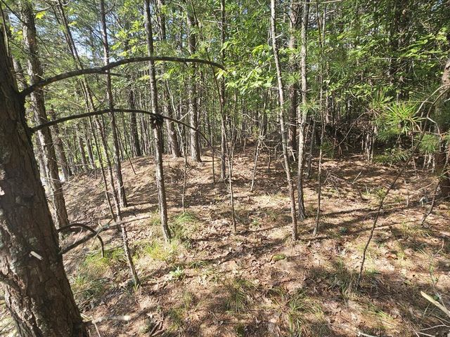 Lot 76 Wildcat Drive, Murphy, NC 28906
