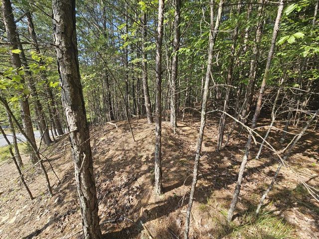 Lot 76 Wildcat Drive, Murphy, NC 28906