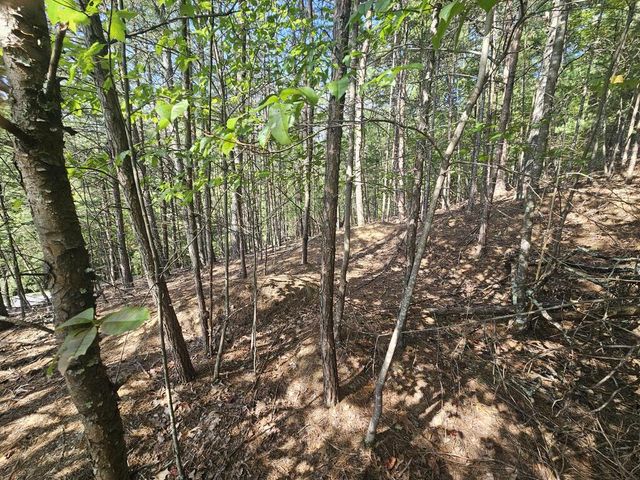 Lot 76 Wildcat Drive, Murphy, NC 28906