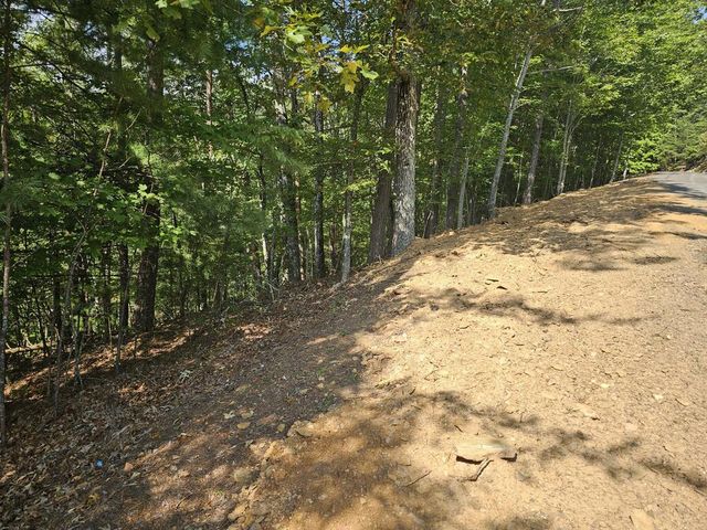 Lot 76 Wildcat Drive, Murphy, NC 28906