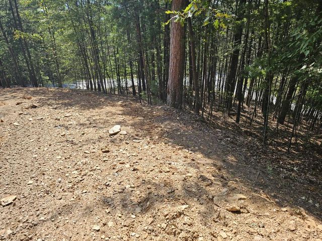 Lot 76 Wildcat Drive, Murphy, NC 28906