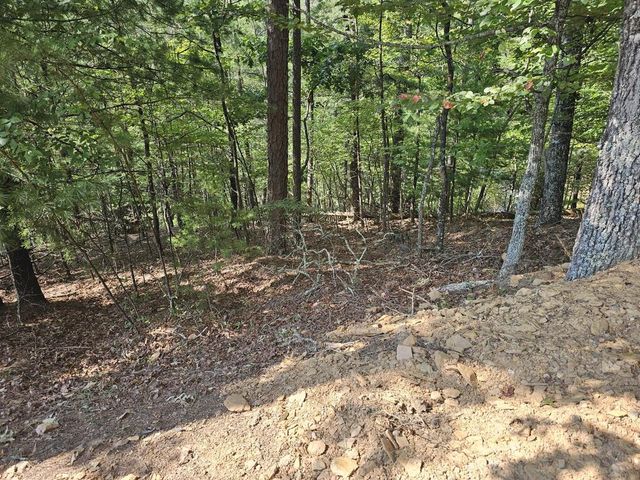 Lot 76 Wildcat Drive, Murphy, NC 28906