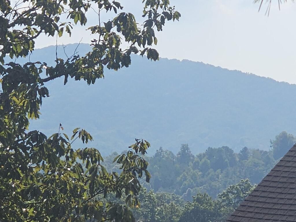 Lot 76 Wildcat Drive, Murphy, NC 28906